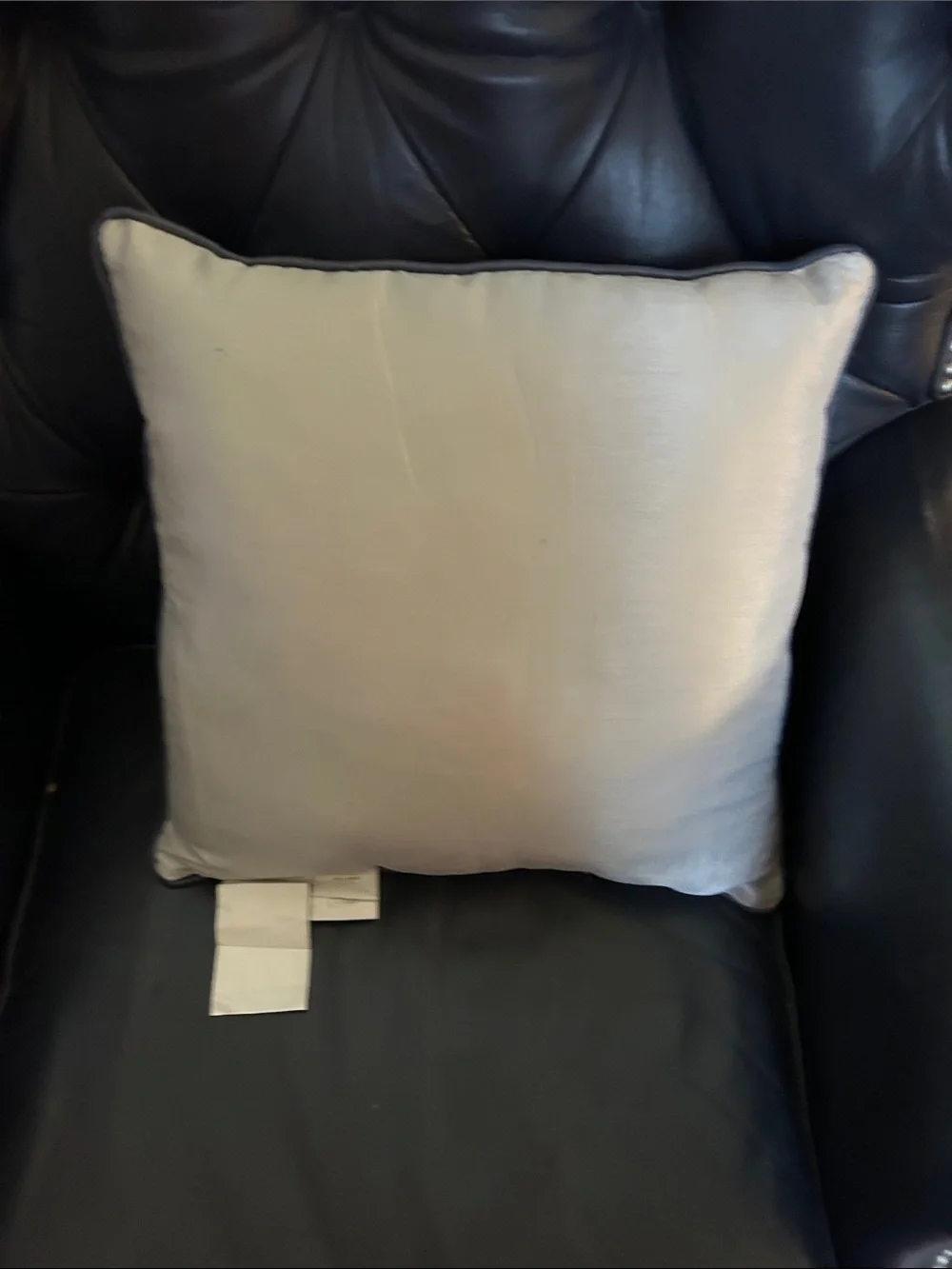 Madison Park Cream Pillow with Navy Embroidered andMatching Queen dust Ruffle